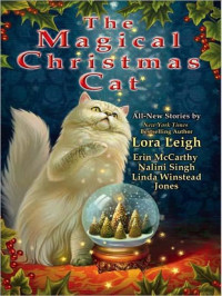 Leigh Lora — Christmas Heat