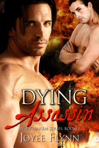Flynn Joyee — Dying Assassin