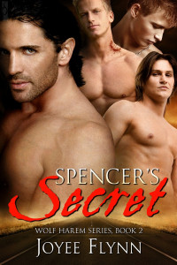 Flynn Joyee — Spencer's Secret