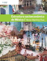 Héctor Martínez Ruiz — Estructura socioeconómica de México
