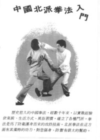 古聖先賢, 中華傳統文化, 武術功夫, 養生 — 教門長拳：中國武術入門  Чанцюань - китайское боевое искусство вступления