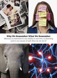 The Editors of TIME — TIME The Science of Memory
