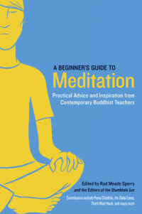 Rod Meade Sperry; Pema Chodron; Thich Nhat Hanh; Sakyong Mipham — A Beginner's Guide to Meditation: Practical Advice and Inspiration From Contemporary Buddhist Teachers