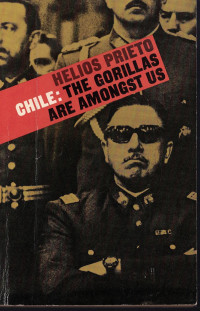 Helios Prieto — Chile: The Gorillas Are Amongst Us