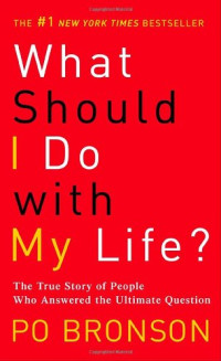 Po Bronson — What Should I Do with My Life?