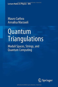 Mauro Carfora, Annalisa Marzuoli (auth.) — Quantum Triangulations: Moduli Spaces, Strings, and Quantum Computing