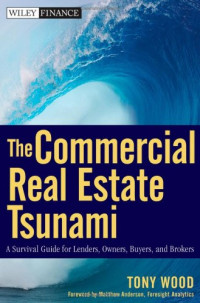 Tony Wood — The Commercial Real Estate Tsunami: A Survival Guide for Lenders, Owners, Buyers, and Brokers (Wiley Finance)