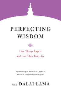 The Dalai Lama — Perfecting Wisdom