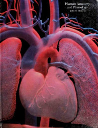 John W. Hole — Human Anatomy and Physiology