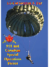 Stephen J. Day — 9/11 and Canadian Special Operations Forces