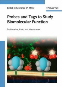 Lawrence W. Miller — Probes and Tags to Study Biomolecular Function: for Proteins, RNA, and Membranes