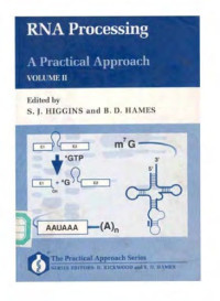 Stephen J. Higgins, B. David Hames (eds.) — RNA Processing: A Practical Approach: Volume II