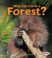 Sheila Anderson — What Can Live in a Forest?.