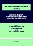G. Pfurtscheller, E.H. Jonkman and F.H. Lopes Da Silva (Eds.) — Brain Ischemia: Quantitative Eeg and Imaging Techniques