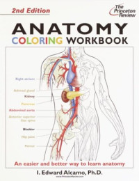 Princeton Review — Anatomy Coloring Workbook