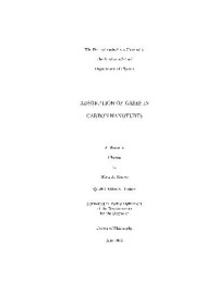  — Adsorption of gases in carbon nanotubes