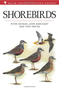 John Marchant, Peter Hayman, Tony Prater — Shorebirds