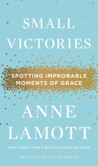 Anne Lamott — Small Victories: Spotting Improbable Moments of Grace