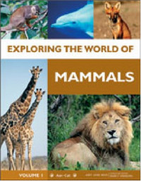 Nancy Simmons — Exploring the World of Mammals