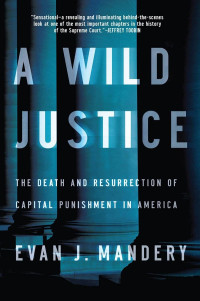 Evan J. Mandery — A Wild Justice: The Death and Resurrection of Capital Punishment in America