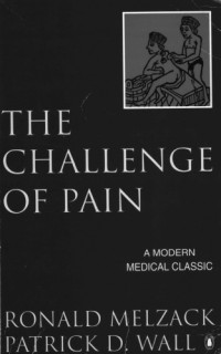 Ronald Melzack, Patrick D. Wall — The Challenge of Pain (Updated Second Edition)