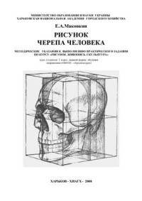 Маковкин Е.А. — Рисунок черепа человека