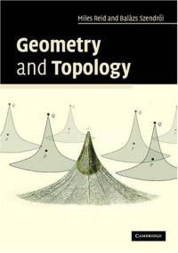 Miles Reid, Balazs Szendroi — Geometry and Topology