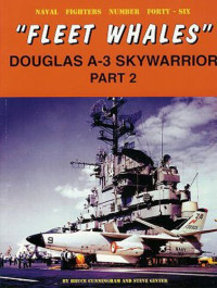 Bruce Cunningham — Fleet Whales Skywarrior Pt.2