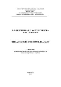 Ендовицкая Е.В., Колесникова Е.Ю., Тулинова Е.И. — Финансовый контроль и аудит