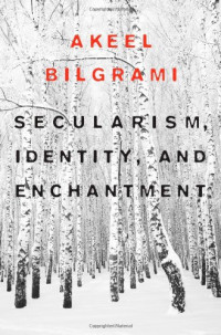 Akeel Bilgrami — Secularism, Identity, and Enchantment