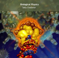 Sally Challenor — Biological Physics