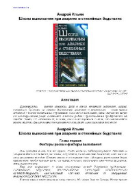 Ильин Андрей Александрович — Школа выживания при авариях и стихийных бедствиях