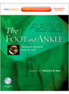 Ned Amendola — AANA Advanced Arthroscopy. The Foot and Ankle