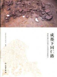 成都文物考古研究院 — 成都下同仁路——佛教造像坑及城市生活遗址发掘报告