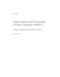 Fei Xu — Representations and Cohomology of Finite Categories (DRAFT)