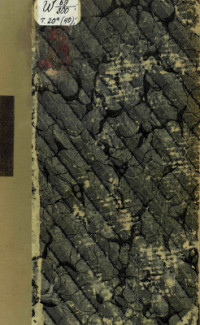 Брокгауз Ф.А., Ефрон И.А. (издатели) — Энциклопедический словарь. Т. 20а (40): Часть I из 3 Наказный атаман - Неясыти.
