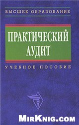 Бровкина Н.Д., Мельник М.В. — Практический аудит