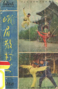 吴信良 — 峨眉散打术