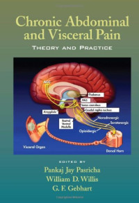 Pankaj Jay Pasricha, William D. Willis, G. F. Gebhart — Chronic Abdominal and Visceral Pain: Theory and Practice