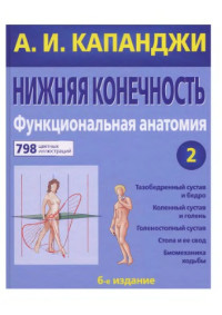 Капанджи А.И. — Нижняя конечность. Функциональная анатомия.