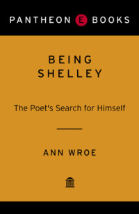Ann Wroe — Being Shelley: The Poet's Search for Himself (Percy Bysshe Shelley)