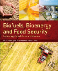Deepayan Debnath (Editor), Suresh Chandra Babu (Editor) — Biofuels, Bioenergy and Food Security: Technology, Institutions and Policies