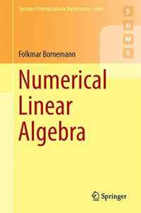 Folkmar Bornemann, Walter Simson — Numerical Linear Algebra: A Concise Introduction with MATLAB and Julia