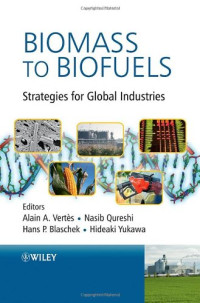 Alain Vertes, Nasib Qureshi, Hideaki Yukawa, Hans Blaschek — Biomass to Biofuels: Strategies for Global Industries