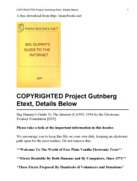 Adam Gaffin; Mitch Kapor; Steve Cisler; Electronic Frontier Foundation — Big dummy's guide to the Internet