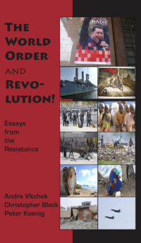 Koenig, Peter; Black, Christopher; Vltchek, Andre — The World Order and Revolution!: Essays from the Resistance