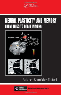 Federico Bermudez-Rattoni — Neural Plasticity and Memory: From Genes to Brain Imaging