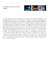 Salencon J. — Mecanique des milieux continus. Schema