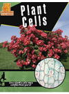 Penny Dowdy — Plant Cells