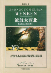 李晓伟 — 流放大西北